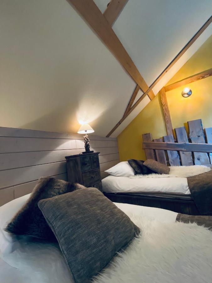 Le Chalet D'Etienne Saint-Etienne-les-Remiremont Dış mekan fotoğraf